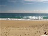 Shore Island Beach   - ISABELA